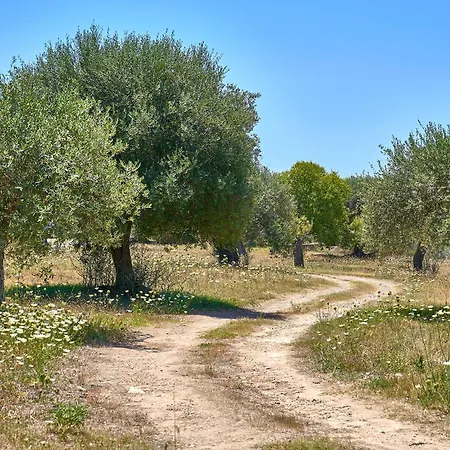 Guesthost Relax In The Natural Park Just 20 Minutes From The Sea